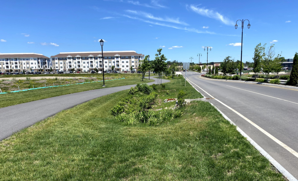 Tuscan Village Raingarden