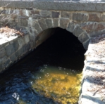 A stone culvert under a bridge in Manchester-by-the-Sea, MA.